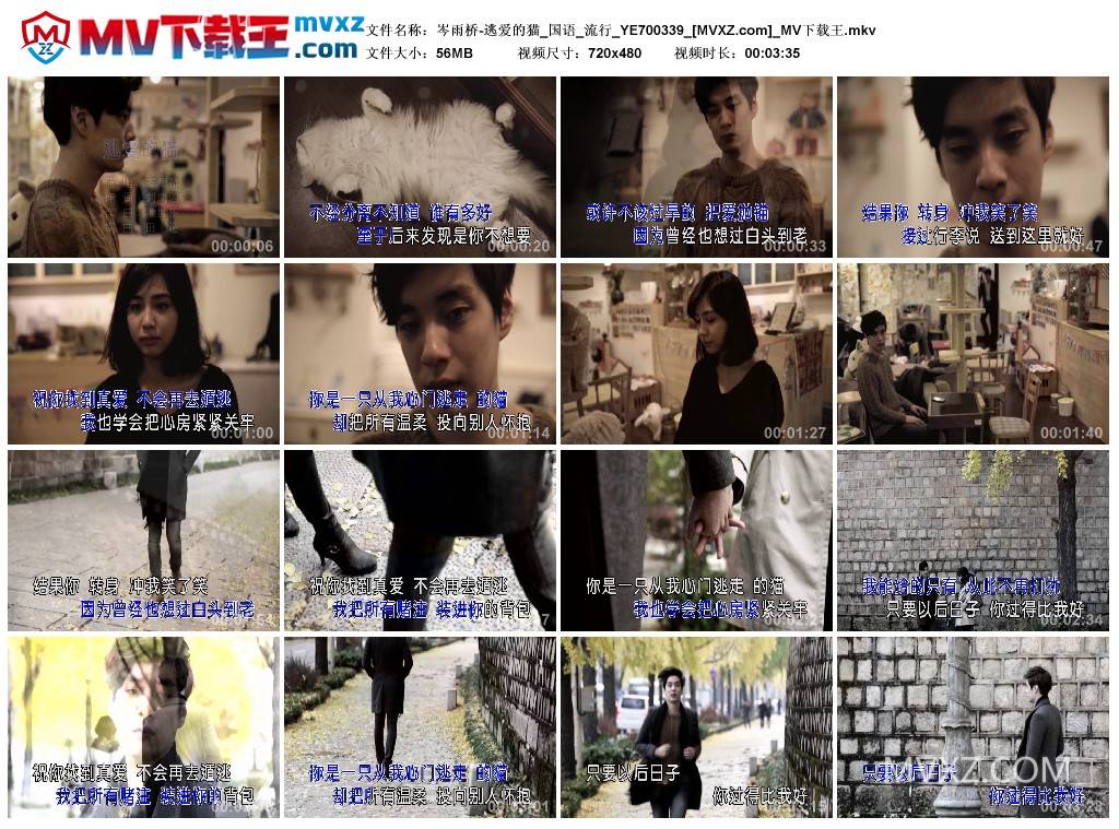 岑雨桥-逃爱的猫_国语_流行_YE700339